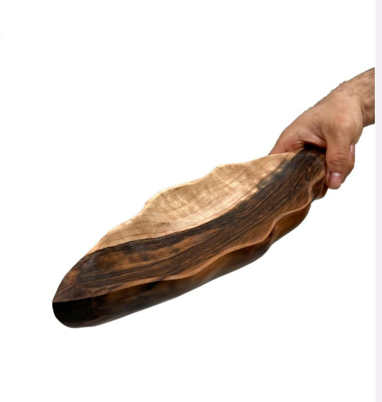 گلبرگ ها کهن پیکره